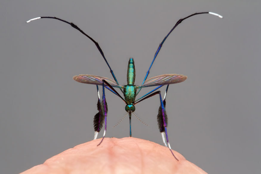 The Best 16 Photos Of The Wildlife Photographer Of The Year 2021