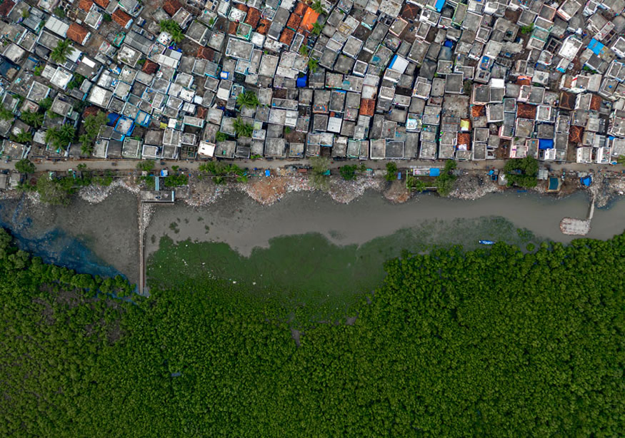 The Best 16 Photos Of The Wildlife Photographer Of The Year 2021