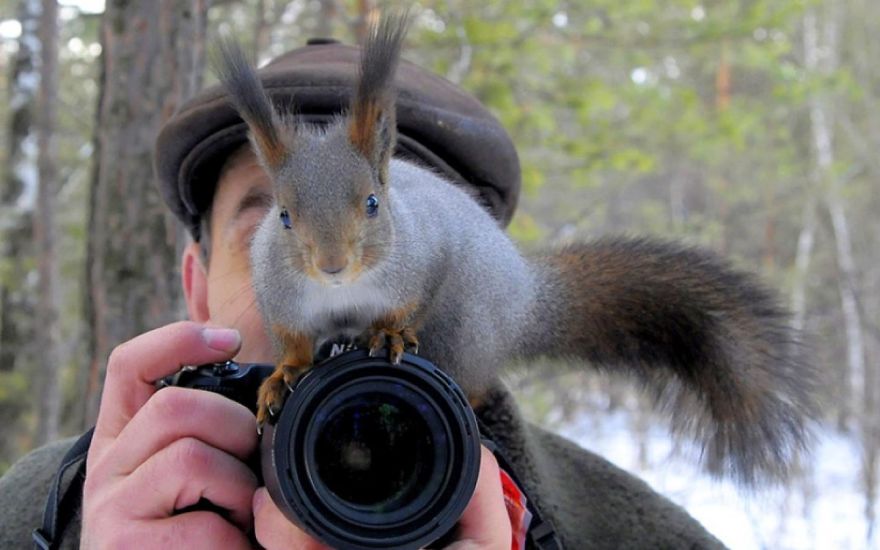 30 Funniest Photos Of Animals Getting Comfortable With Camera Gear