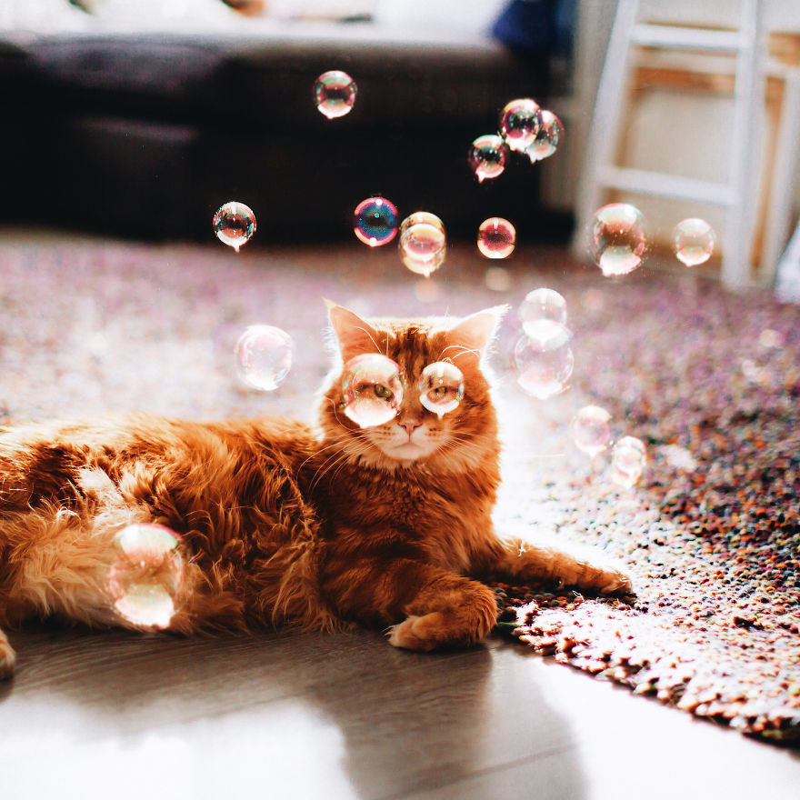 Magical Photos Inspired By Balloons, Bubbles, And Lights By Kristina Makeeva