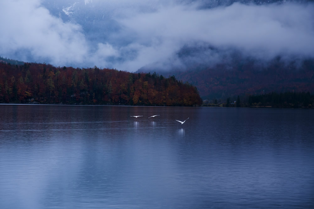 Magnificent Beauty Of Alps: Stunning Landscape Photographs by Nafi Sami