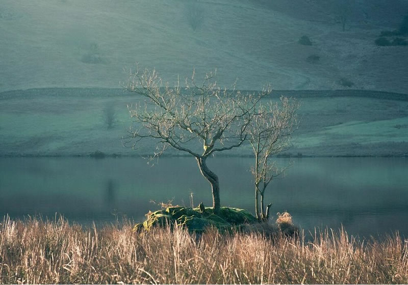 Colin Creevey From ‘Harry Potter’ Is Now A Real-Life Pro Photographer And Here Are His 20 Best Photos 