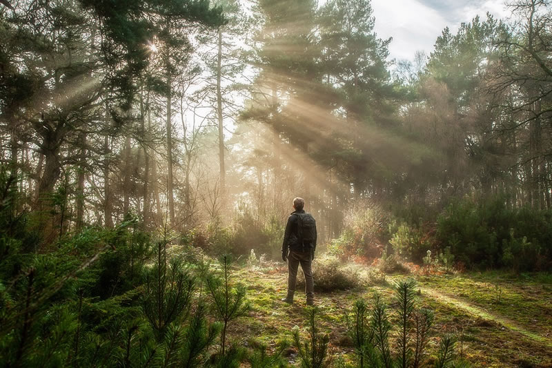 Colin Creevey From ‘Harry Potter’ Is Now A Real-Life Pro Photographer And Here Are His 20 Best Photos 