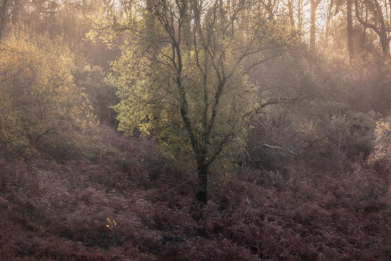 Colin Creevey From ‘Harry Potter’ Is Now A Real-Life Pro Photographer And Here Are His 20 Best Photos 