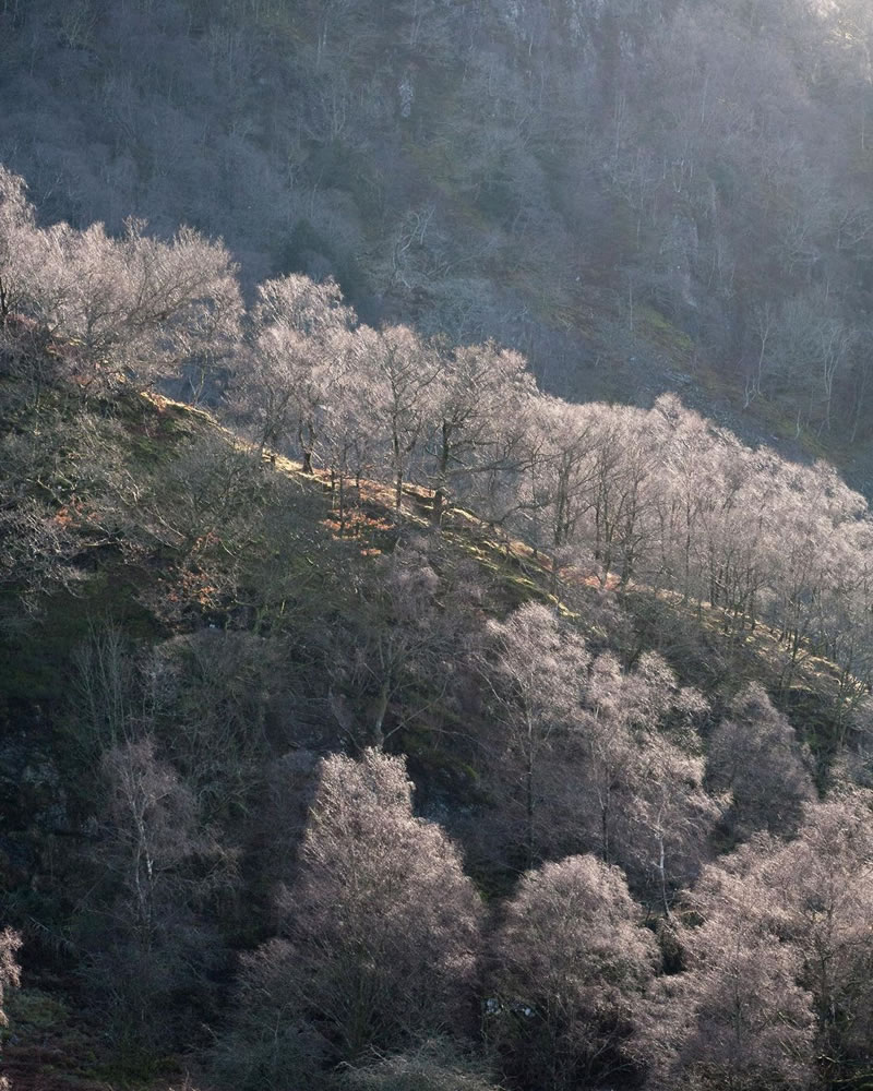 Colin Creevey From ‘Harry Potter’ Is Now A Real-Life Pro Photographer And Here Are His 20 Best Photos 