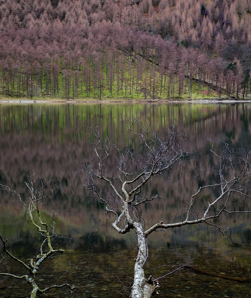 Colin Creevey From ‘Harry Potter’ Is Now A Real-Life Pro Photographer And Here Are His 20 Best Photos 