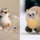 50 Cutest Animals People Spotted And Just Had To Take A Pic Of Them