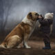 Elena Shumilova: Russian Mother Takes Amazing Portraits Of Her Two Kids With Animals