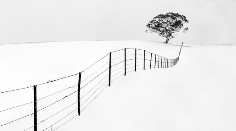 The Winning Photos Of 2021 Epson International Pano Awards