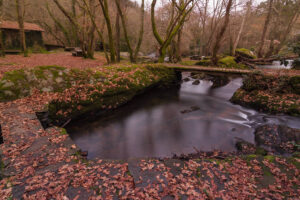 Fernandoigba, Spain