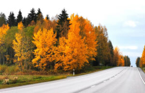 Carina Haggblom, Finland