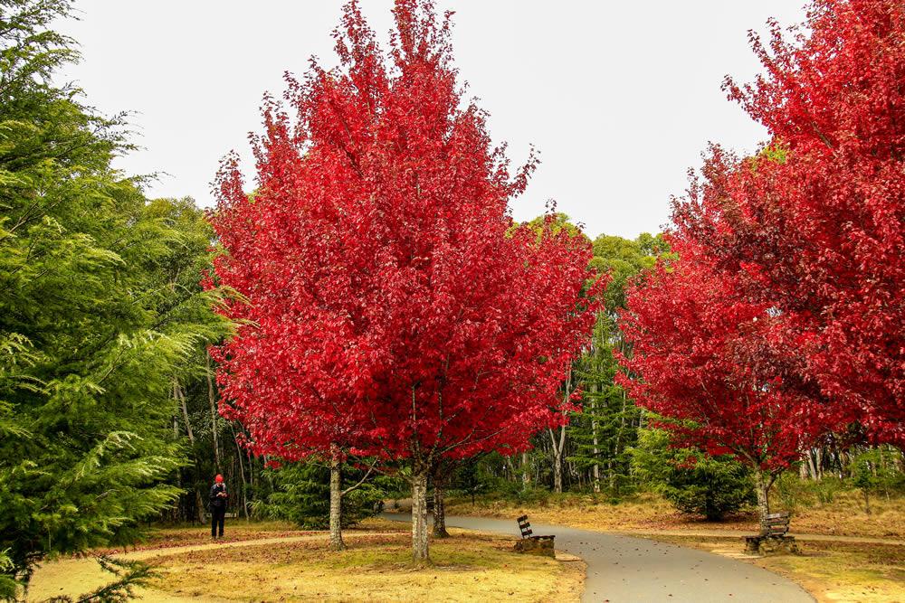 GuruShots Winning Images From The Autumn Is Here Challenge