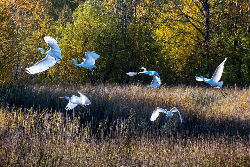 GuruShots Winning Images From The Autumn Is Here Challenge