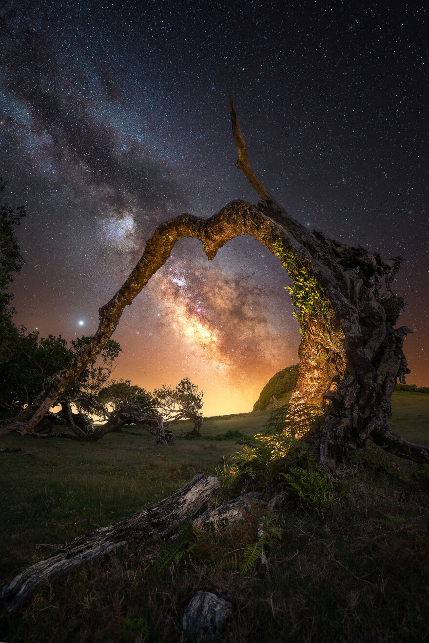 Photographer Alex Forst Captured The Magic And Beauty Of The Night Sky