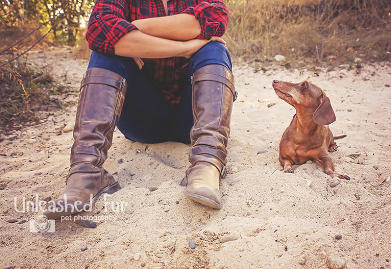 I Photograph Senior Dogs To Preserve Their Memories In Honor Of My Own Dogs That Passed Away