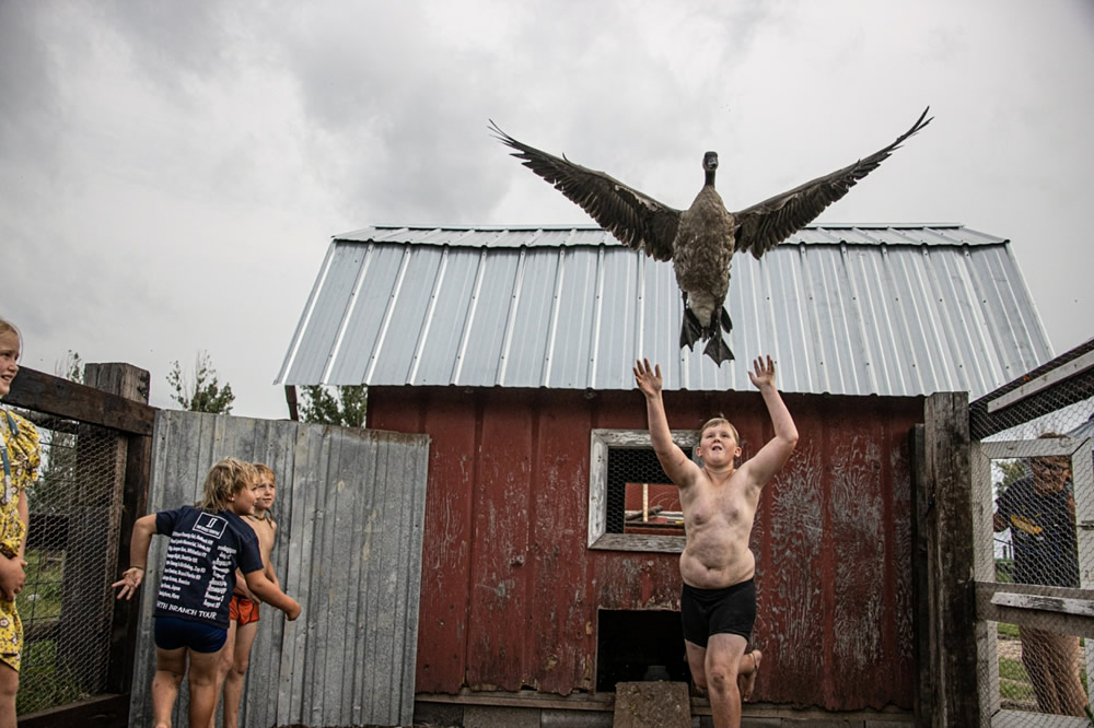 Stunning Winners Of the 2021 Siena International Photo Awards