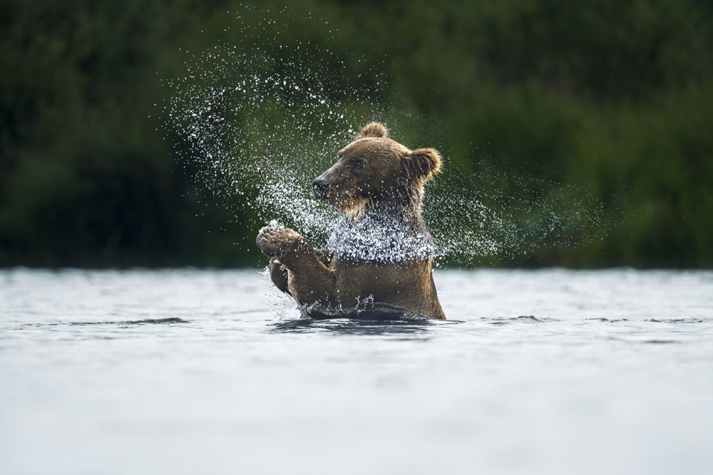 Stunning Winners Of the 2021 Siena International Photo Awards