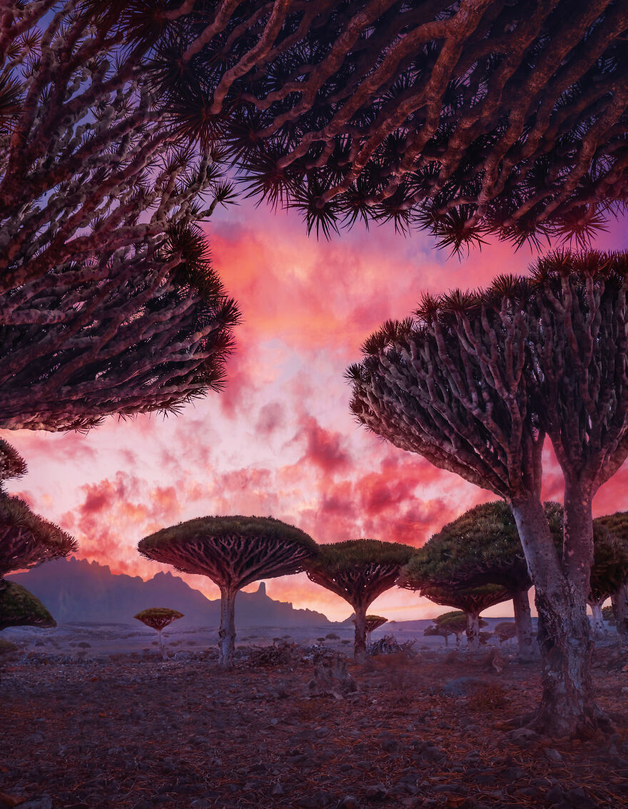 Russian Photographer Kristina Makeeva Explored Socotra Island A Place Unlike Anywhere 