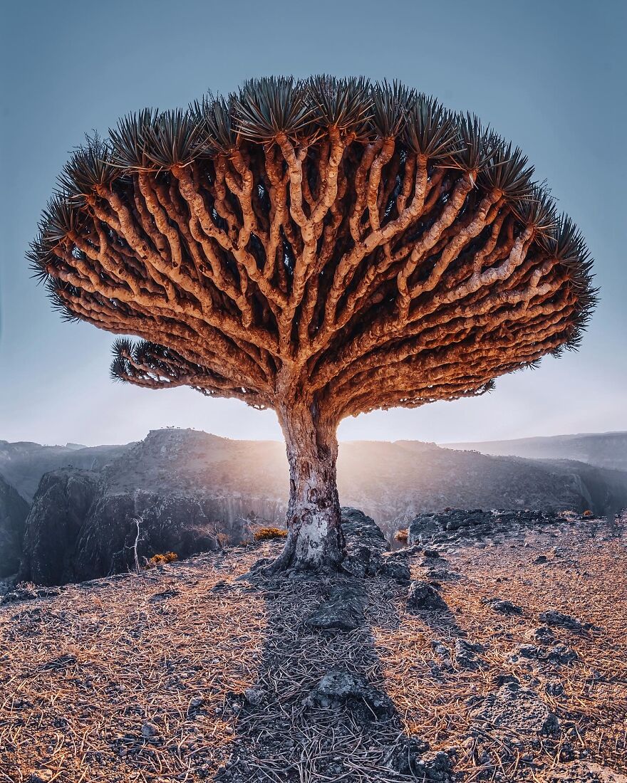 Russian Photographer Kristina Makeeva Explored Socotra Island A Place Unlike Anywhere 