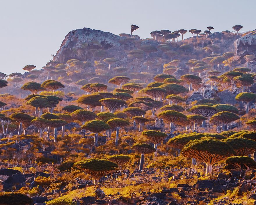 Russian Photographer Kristina Makeeva Explored Socotra Island A Place Unlike Anywhere 