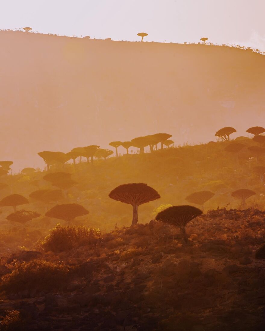 Russian Photographer Kristina Makeeva Explored Socotra Island A Place Unlike Anywhere 