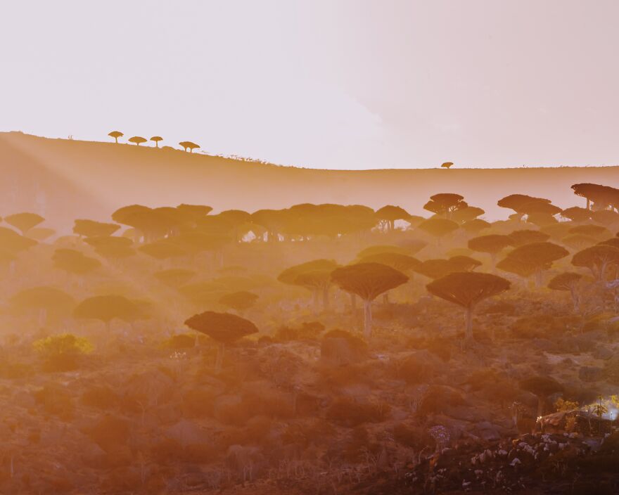 Russian Photographer Kristina Makeeva Explored Socotra Island A Place Unlike Anywhere 