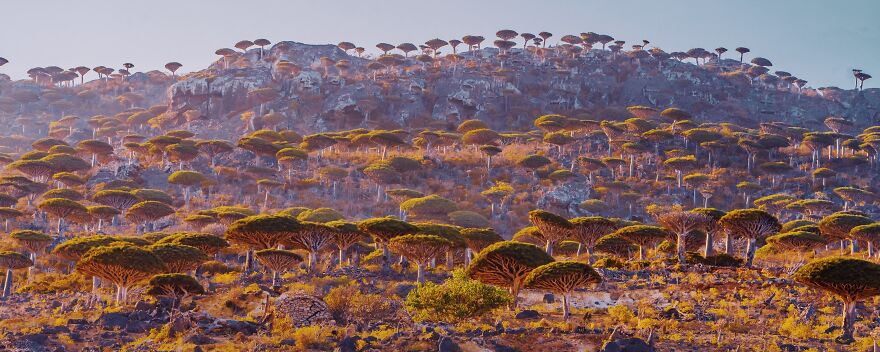 Russian Photographer Kristina Makeeva Explored Socotra Island A Place Unlike Anywhere 