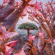 Russian Photographer Kristina Makeeva Explored Socotra Island A Place Unlike Anywhere