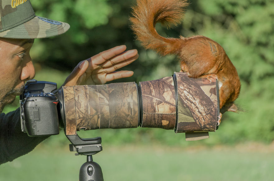 To Spread Some Joy, I Photograph Squirrels Playing In My Garden By Niki Colemont