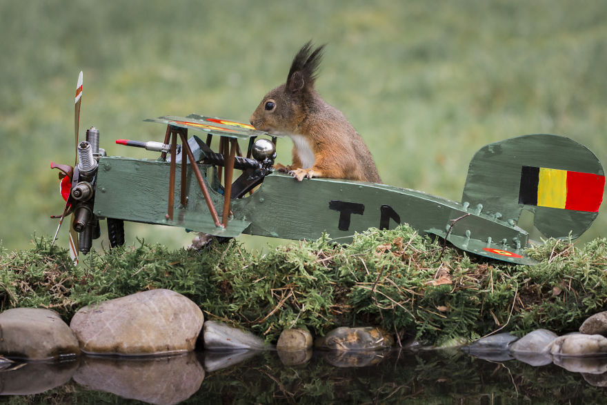 To Spread Some Joy, I Photograph Squirrels Playing In My Garden By Niki Colemont