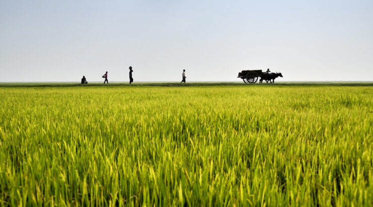 The Village Life: Photographs Which Will Transport You To The Innocence Of Countryside