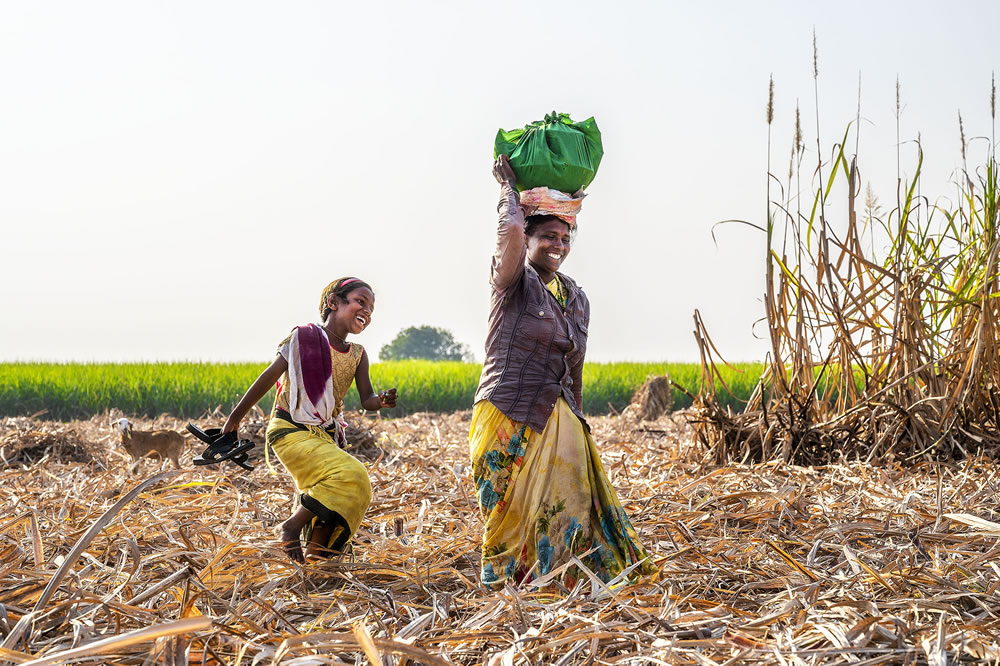 Warriors In Sugar Land: An Amazing Photo Series By Dnyaneshwar Vaidya