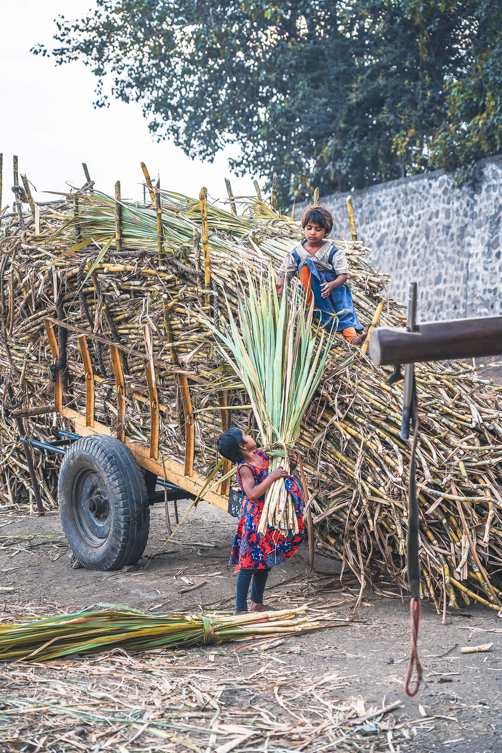 Warriors In Sugar Land: An Amazing Photo Series By Dnyaneshwar Vaidya