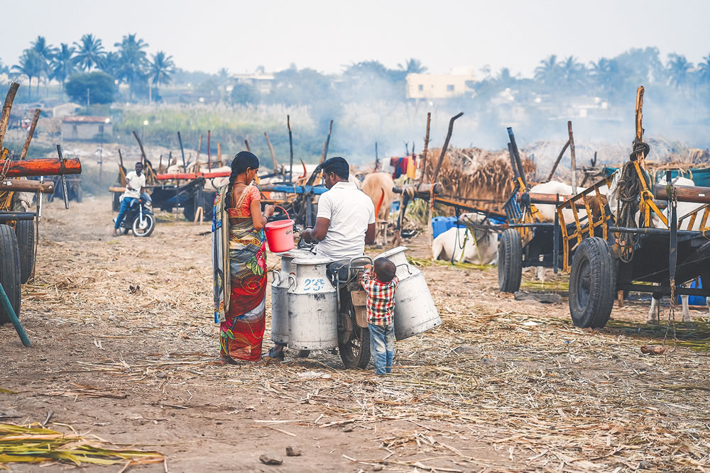 Warriors In Sugar Land: An Amazing Photo Series By Dnyaneshwar Vaidya