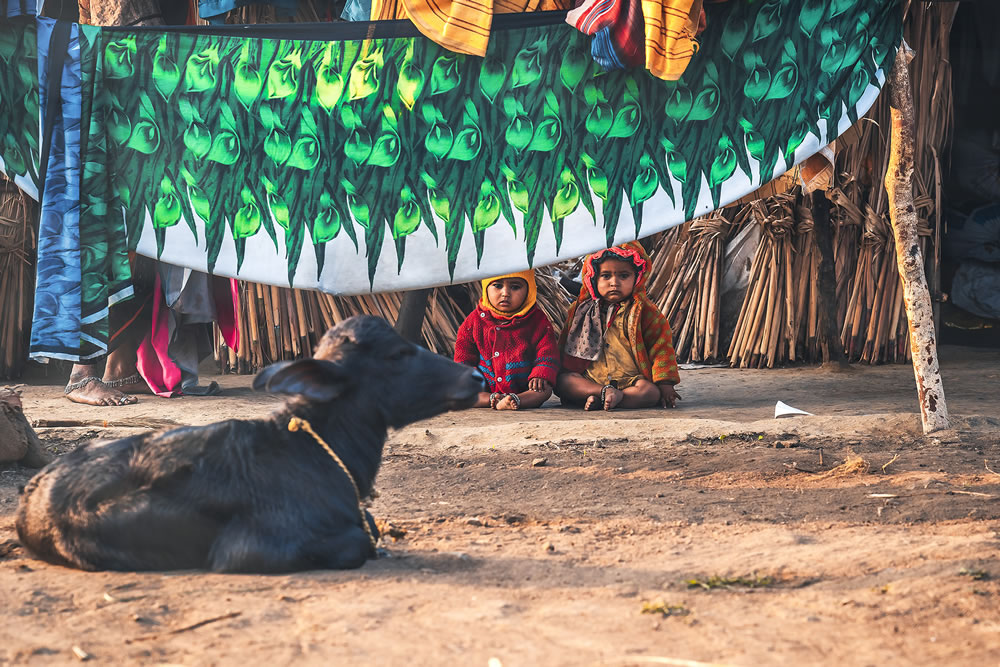 Warriors In Sugar Land: An Amazing Photo Series By Dnyaneshwar Vaidya