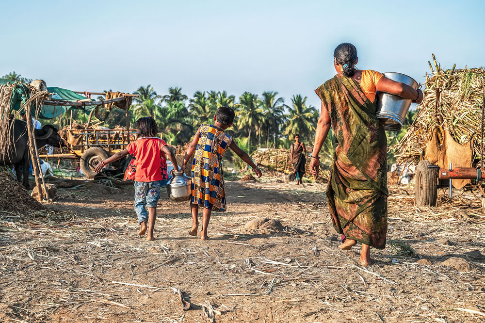 Warriors In Sugar Land: An Amazing Photo Series By Dnyaneshwar Vaidya