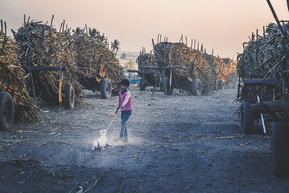 Warriors In Sugar Land: An Amazing Photo Series By Dnyaneshwar Vaidya