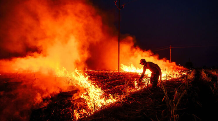 Warriors In Sugar Land: An Amazing Photo Series By Dnyaneshwar Vaidya