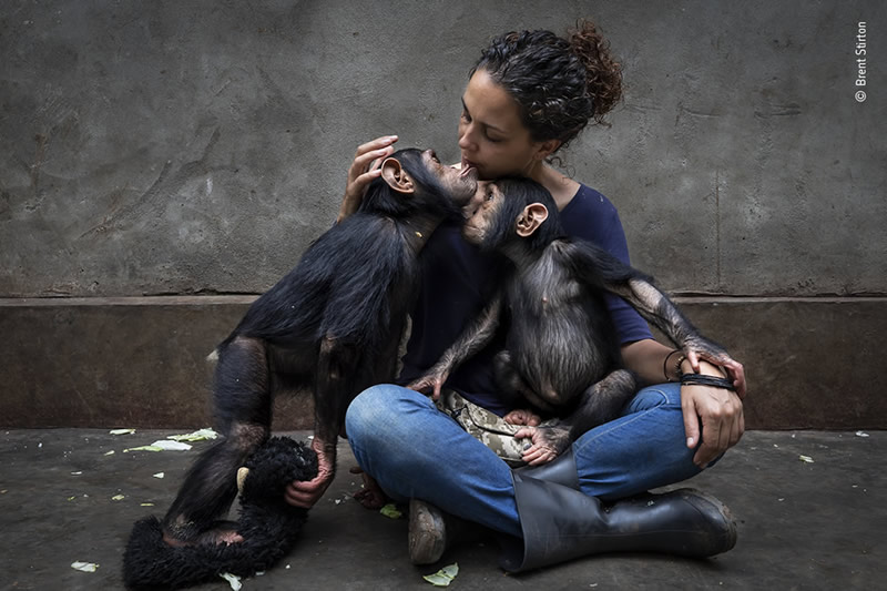 Winning Photos Of Wildlife Photographer of the Year 2021