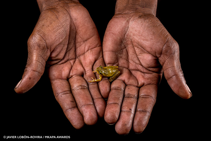 Amazing Winners Of The African Wildlife Foundation Photography Awards