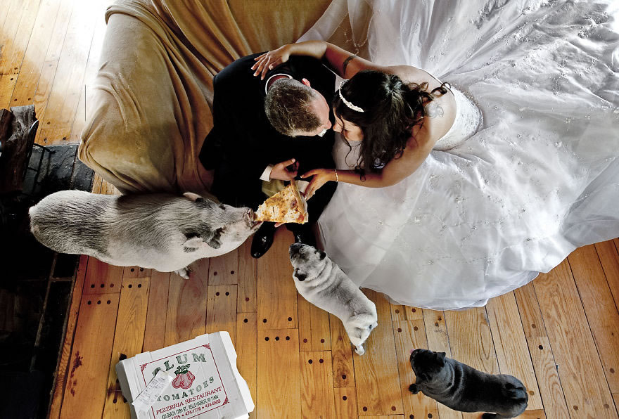 25 Photos Of Animals That Were The Star Of The Wedding