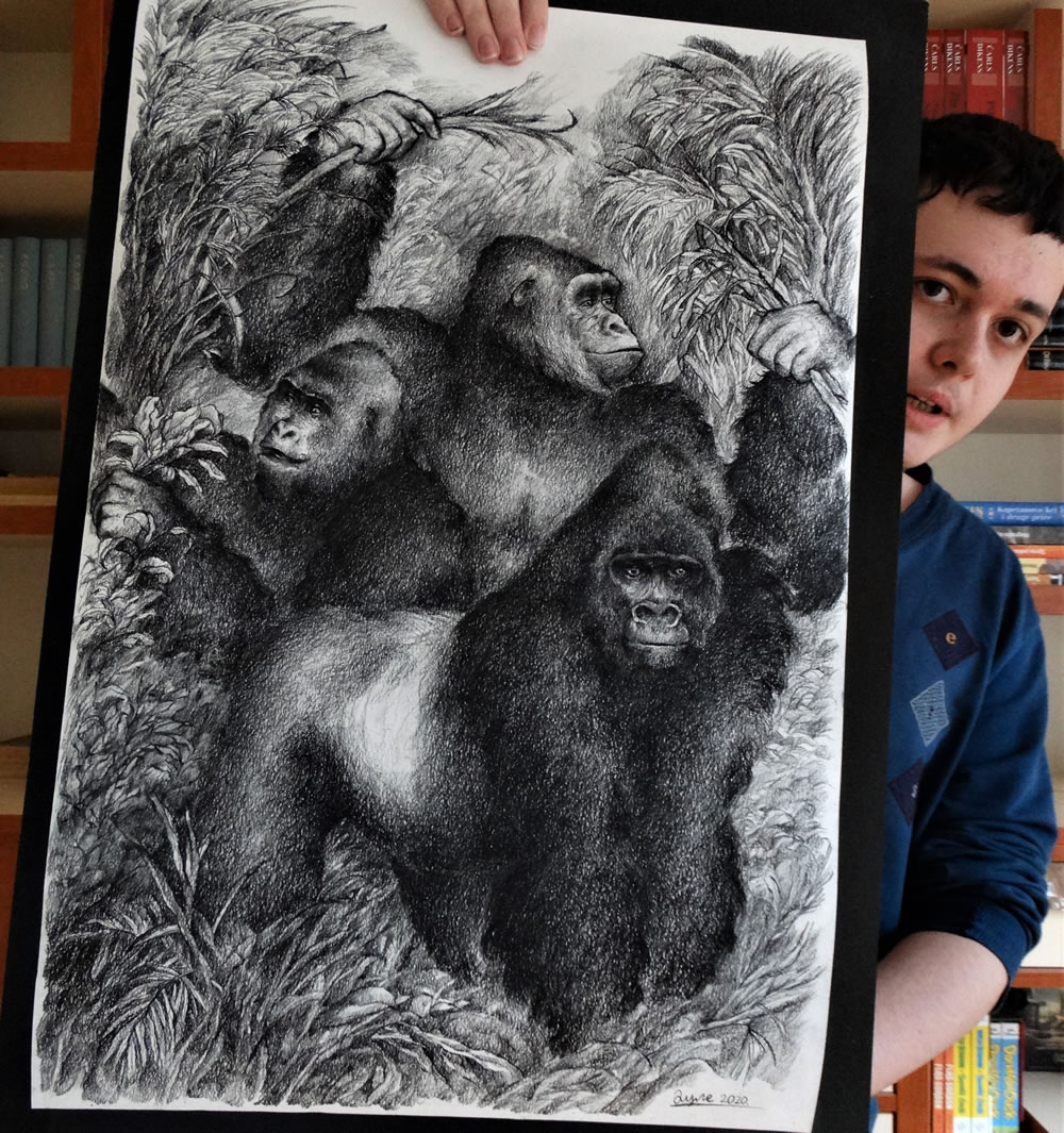 Artist Dusan Krtolica Creates Incredible Animal Drawings From Memory