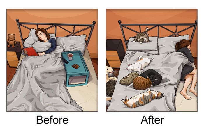 Illustrations That Show How Life Changes After Getting A Pet