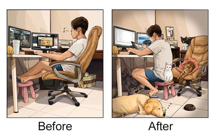 Illustrations That Show How Life Changes After Getting A Pet