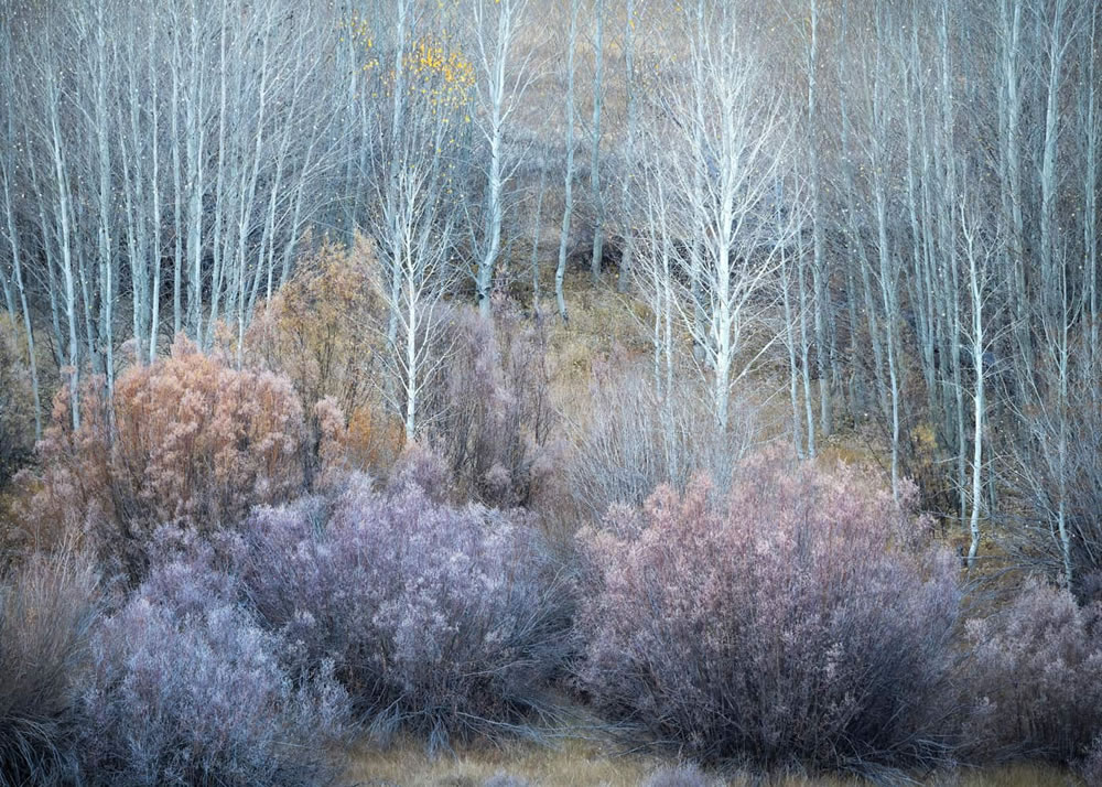 26 Stunning Photos Of Natural Landscape Photography Awards