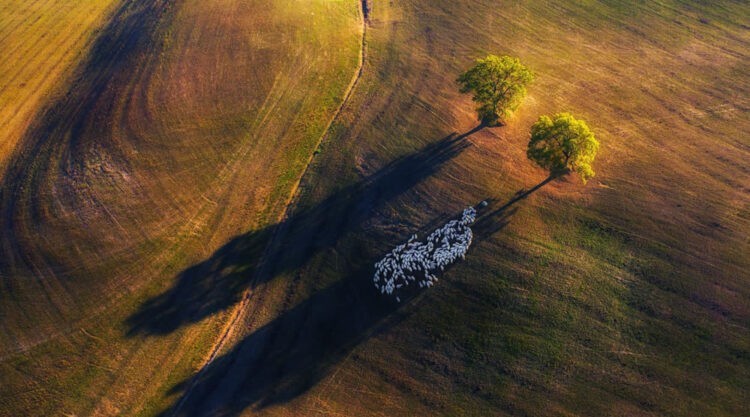 26 Stunning Photos Of Natural Landscape Photography Awards