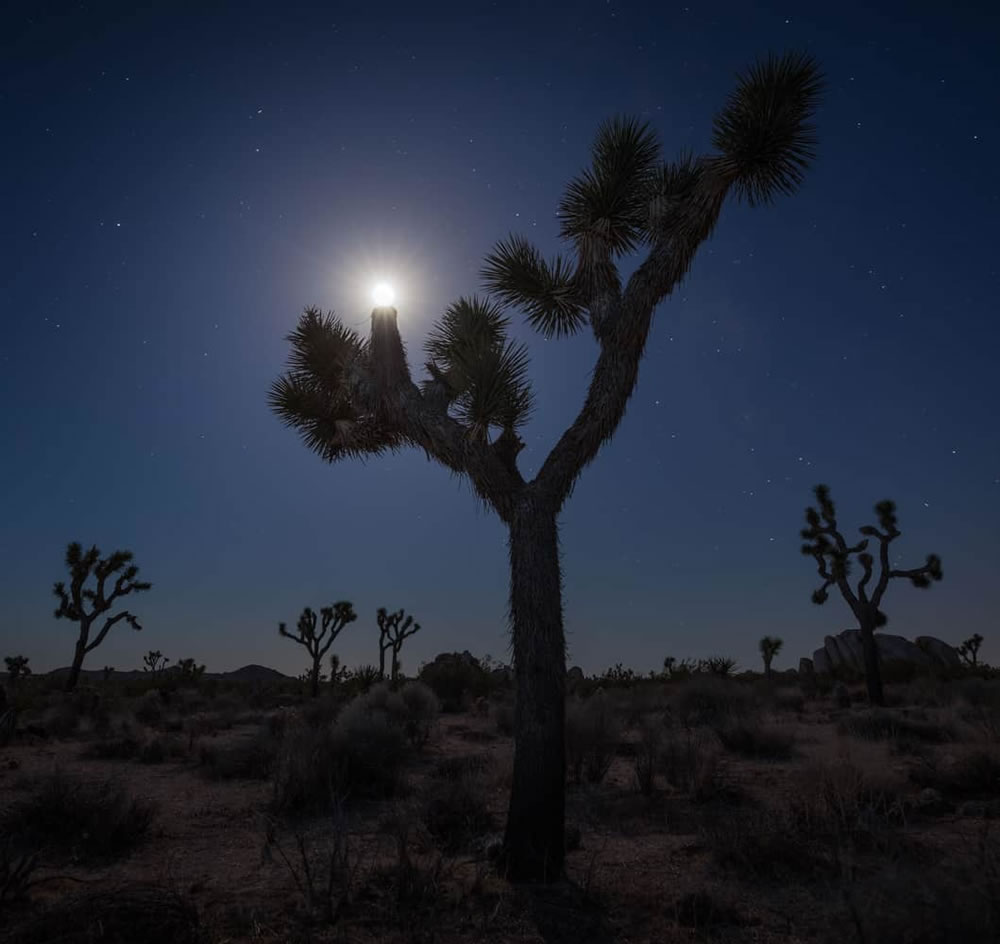 26 Stunning Photos Of Natural Landscape Photography Awards