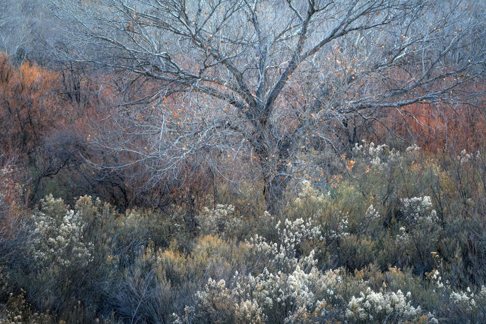 26 Stunning Photos Of Natural Landscape Photography Awards