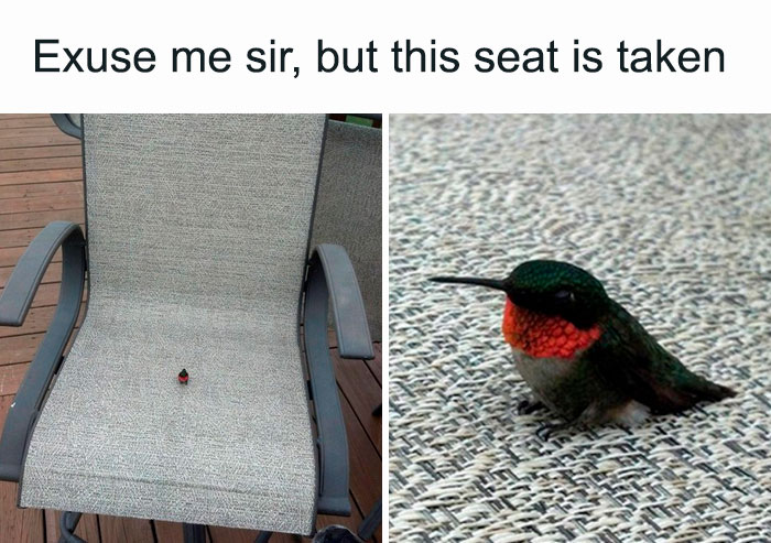 30 Cutest Photos Of Smol Animals And Objects, Shared By Tiny Units Reddit Group