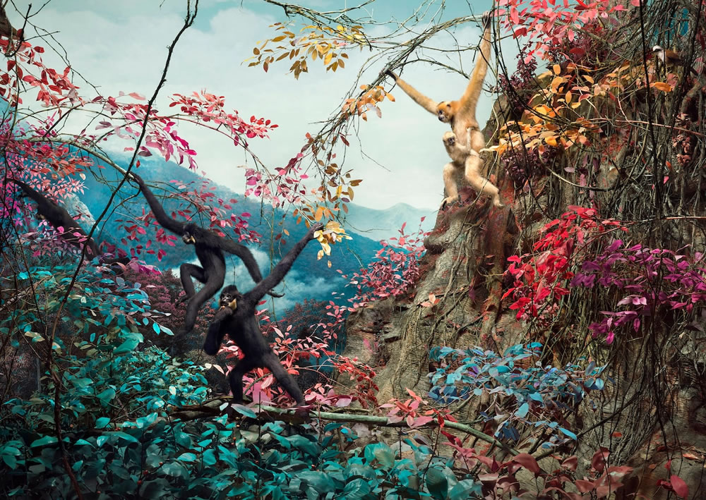 Wildlife Reimagined in Technicolor Dreamscapes By Jim Naughten